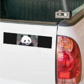 Panda Autoaufkleber (Auf Lkw)
