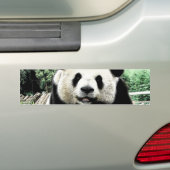 Panda Autoaufkleber (Auf Auto)
