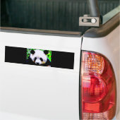 Panda Autoaufkleber (Auf Lkw)