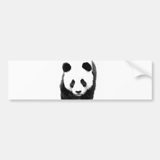 Panda Autoaufkleber (Vorne)