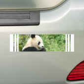 Panda-Autoaufkleber Autoaufkleber (Auf Auto)