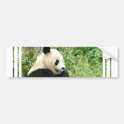 Panda-Autoaufkleber Autoaufkleber (Vorne)
