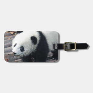 Panda-Bär Bären individuell anpassen Jubiläen Gepäckanhänger
