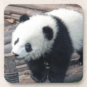 Panda-Bär Bären individuell anpassen Jubiläen Getränkeuntersetzer