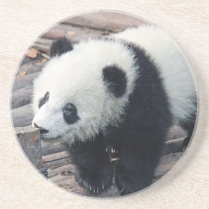 Panda-Bär Bären individuell anpassen Jubiläen Sandstein Untersetzer