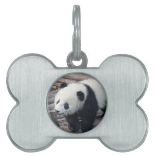 Panda-Bär Bären individuell anpassen Jubiläen Tiermarke