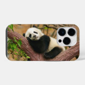 Panda-Bär Case-Mate iPhone-Hülle iPhone Hülle (Rückseite (Horizontal))