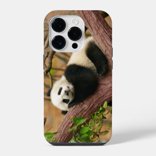 Panda-Bär Case-Mate iPhone-Hülle iPhone Hülle (Rückseite)