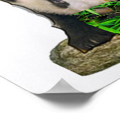 Panda Bär entwirft Poster (Ecke)