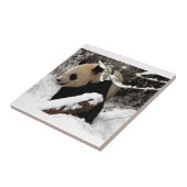 Panda-Bär Fliese (Seite)