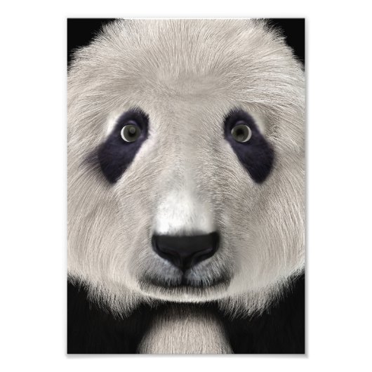 Panda Bär Fotodruck (Vorne)