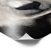 Panda Bär Fotodruck (Ecke)