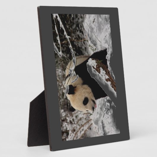 Panda-Bär Fotoplatte (Seite)