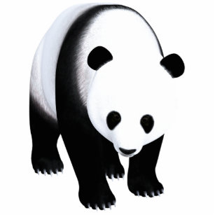Panda-Bär Fotoskulptur Ornament
