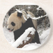 Panda-Bär Getränkeuntersetzer (Vorne)