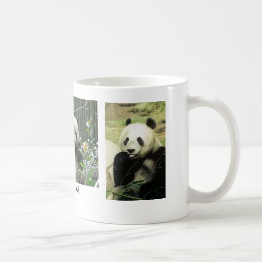 PANDA-BÄR KAFFEETASSE (Rechts)
