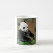 Panda-Bär Kaffeetasse (Mittel)