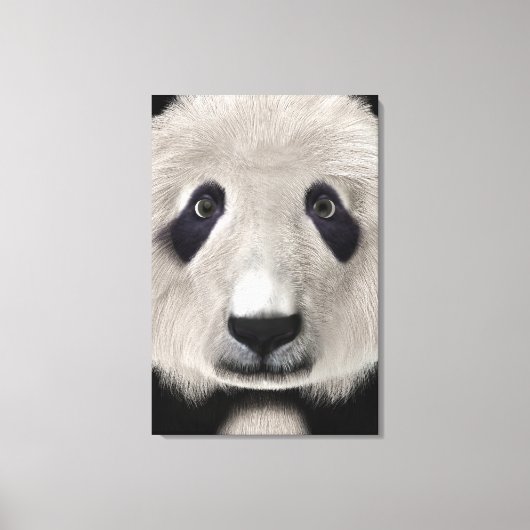 Panda Bär Leinwanddruck (Vorderseite)