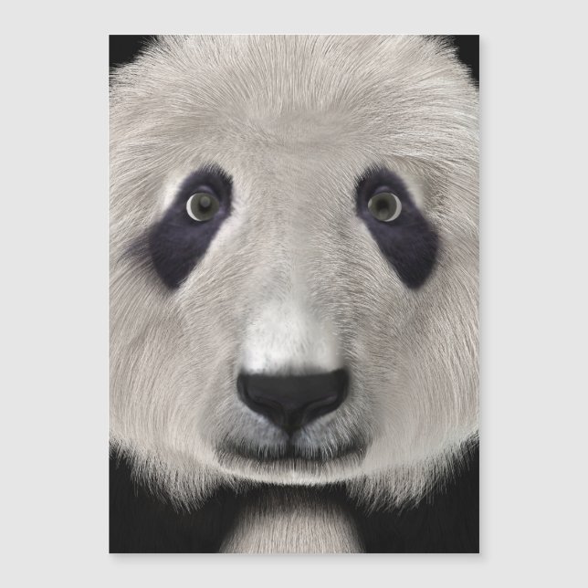 Panda Bär Magnetkarte (Vorderseite)