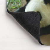Panda-Bär Mousepad (Ecke)