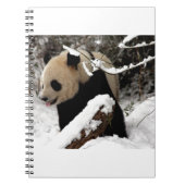 Panda-Bär Notizblock (Vorderseite)