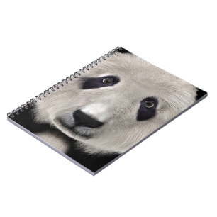 Panda Bär Notizblock