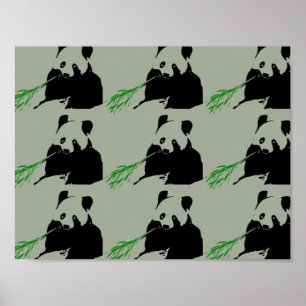 Panda-Bär Poster