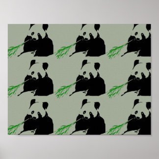 Panda-Bär Poster