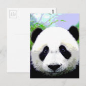 Panda Bär Postkarte (Vorne/Hinten)