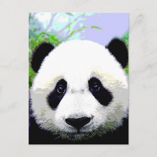 Panda Bär Postkarte (Vorderseite)