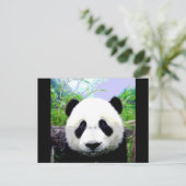 Panda Bär Postkarte (Stehend Vorderseite)