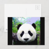 Panda Bär Postkarte (Vorne/Hinten)