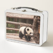 Panda Bär spielend Metal Lunchbox (Vorderseite)