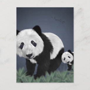 Panda Bär süß kuschelig Tier schwarz weiß süß Postkarte