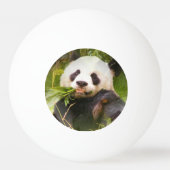 Panda-Bär Tischtennisball (Rückseite)