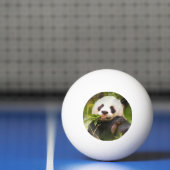 Panda-Bär Tischtennisball (Netto)