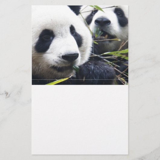 Panda-Bären Briefpapier (Vorderseite)