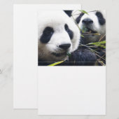Panda-Bären Briefpapier (Vorne/Hinten)