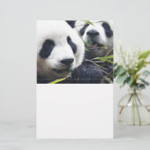 Panda-Bären Briefpapier (Stehend Vorderseite)
