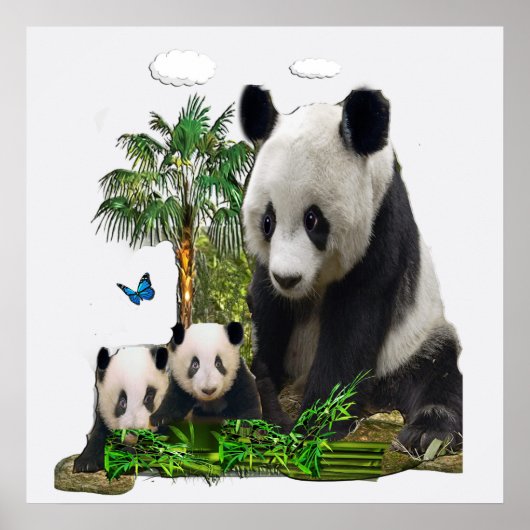 Panda Bären-Designs Poster (Vorne)