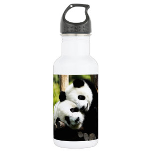 Panda-Bären Edelstahlflasche