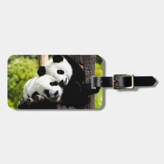 Panda-Bären Gepäckanhänger (Vorderseite horizontal)