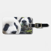 Panda-Bären Gepäckanhänger (Vorderseite horizontal)