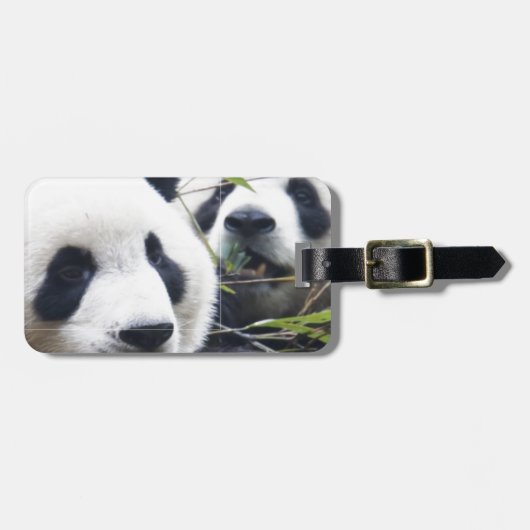 Panda-Bären Gepäckanhänger (Vorderseite horizontal)