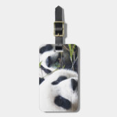 Panda-Bären Gepäckanhänger (Vorderseite vertikal)