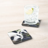 Panda-Bären Getränkeuntersetzer (Rechte Seite)