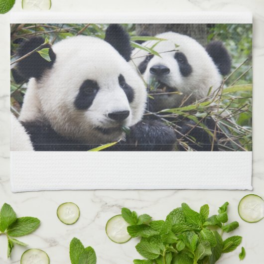 Panda-Bären Handtuch (Gefaltet)