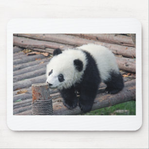 Panda-Bären individuell anpassen Jubiläen Mousepad