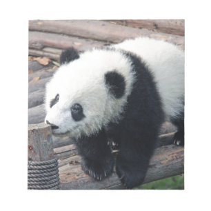 Panda-Bären individuell anpassen Jubiläen Notizblock