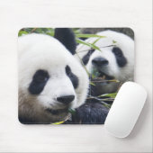 Panda-Bären Mousepad (Mit Mouse)